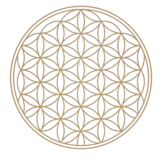 Flower of Life symbol